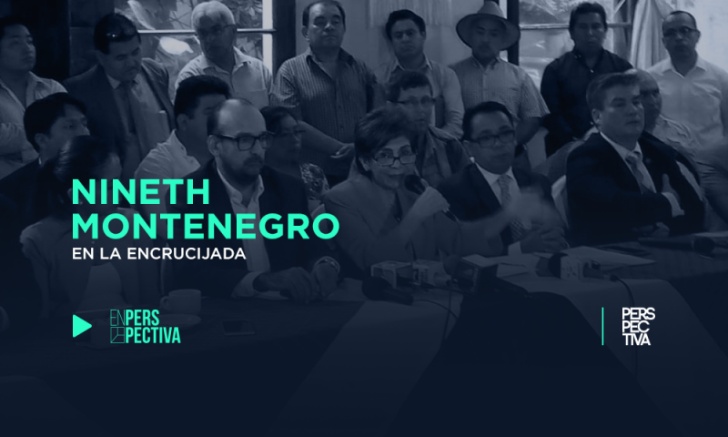 Nineth Montenegro en la encrucijada
