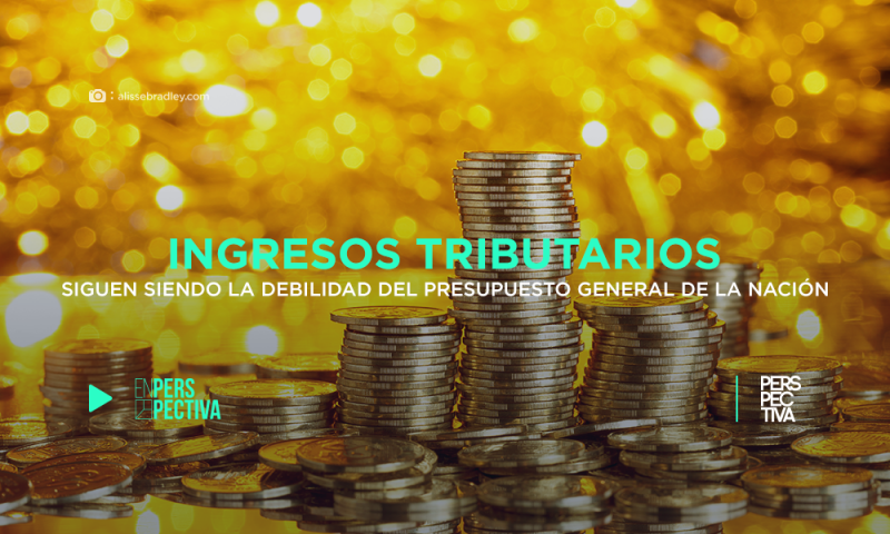 Ingresos tributarios siguen siendo la debilidad del Presupuesto General de la Nación