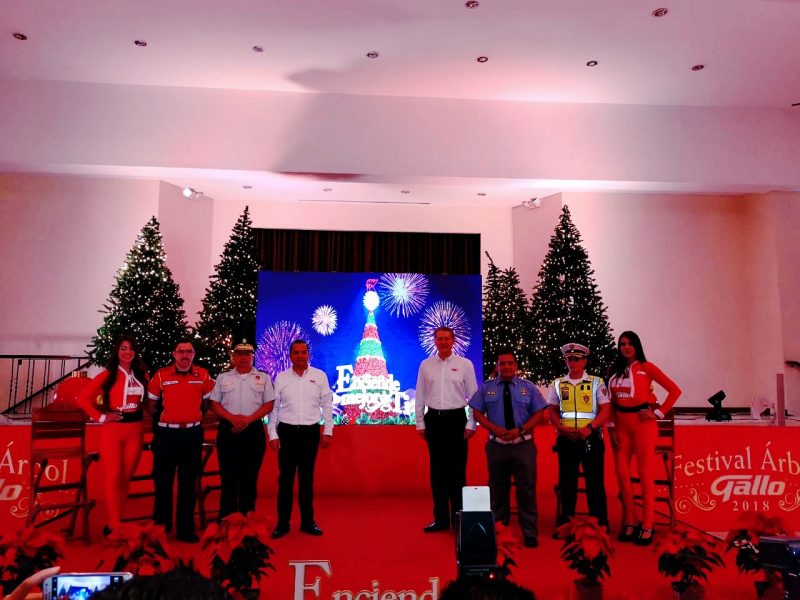 El evento que da inicio a las fiestas de fin de año ya está aquí: Festival  Árbol Gallo