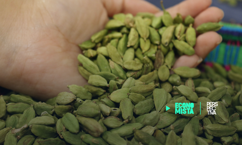 Sector agrícola exportador solicita incluyan acciones priorizadas para su competitividad