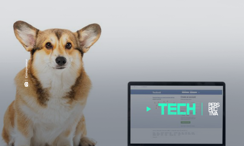 Facebook prohíbe la venta de animales en su plataforma