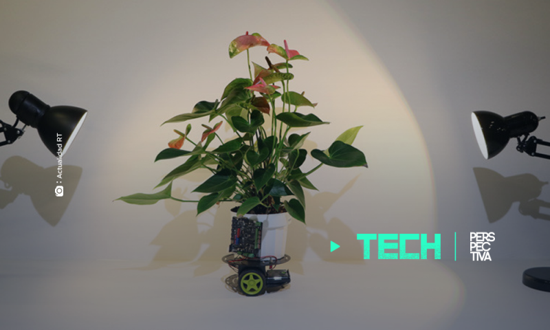 Investigadores del MIT crean una ‘planta de robot’