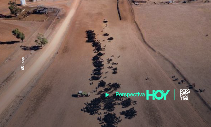 Australia sufre una ola de calor extremo