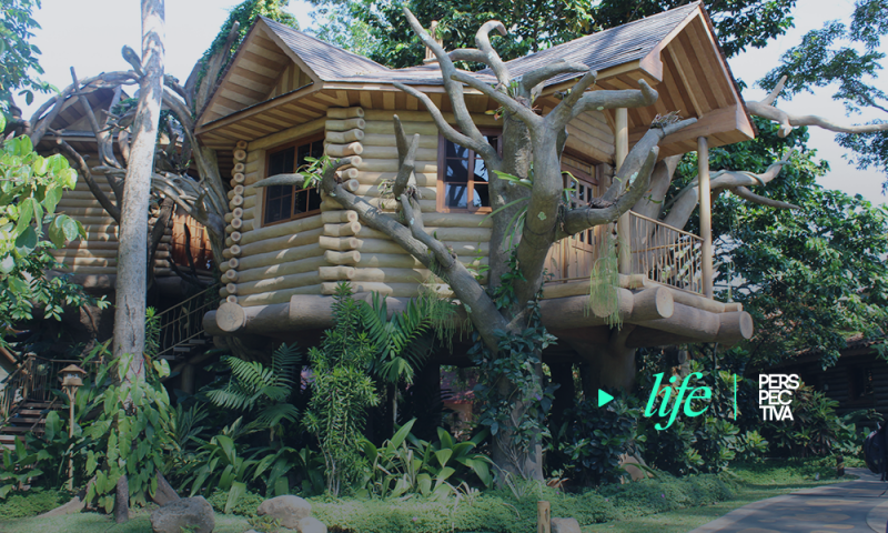 Hostal “Aldea de la Selva” abre sus puertas para que descubra una experiencia diferente