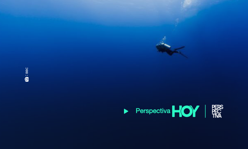 Los océanos se están volviendo más azules (y no es una buena noticia)