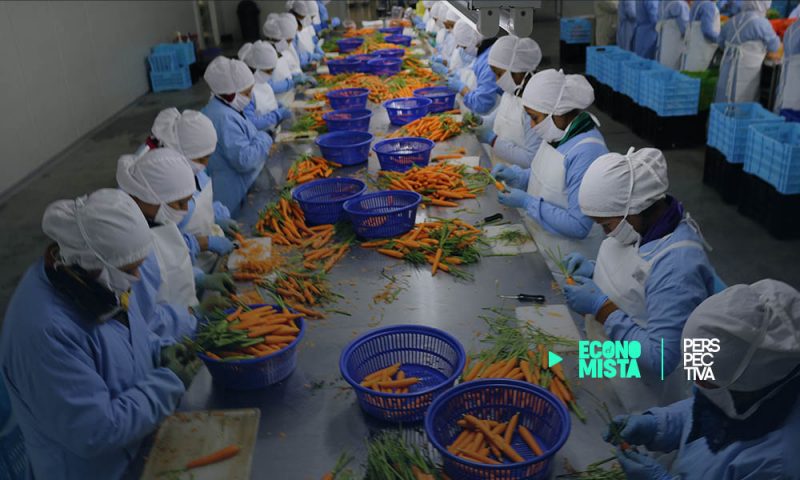 Acciones concretas para generar empleo formal en el sector agrícola