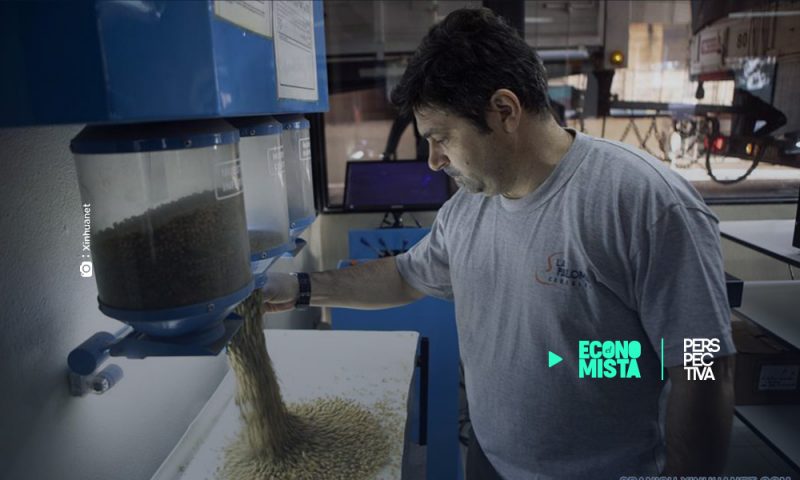 Repunta producción de soya en Argentina en año clave para la economía