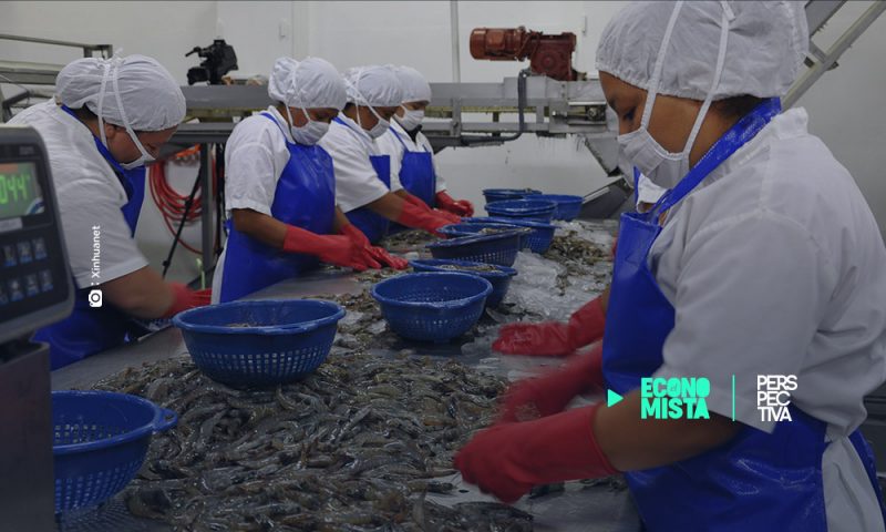 Acuicultura y Pesca necesita incrementar sus exportaciones para generar más empleos formales