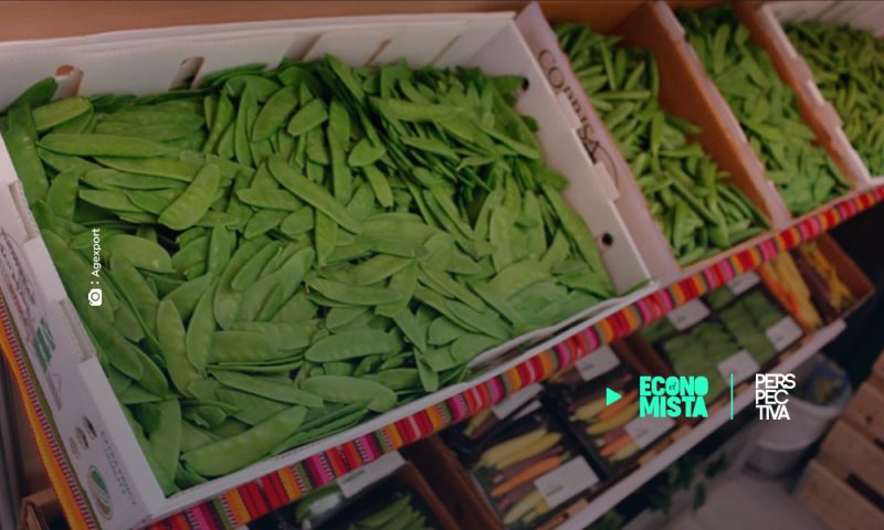 Exportadores reciben con entusiasmo la buena noticia del acuerdo sustitutivo con Reino Unido