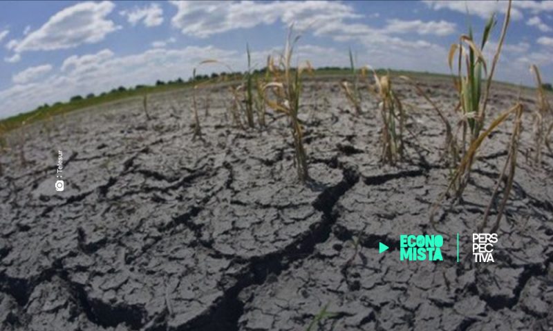 Declaran en emergencia agrícola a la región Metropolitana de Chile