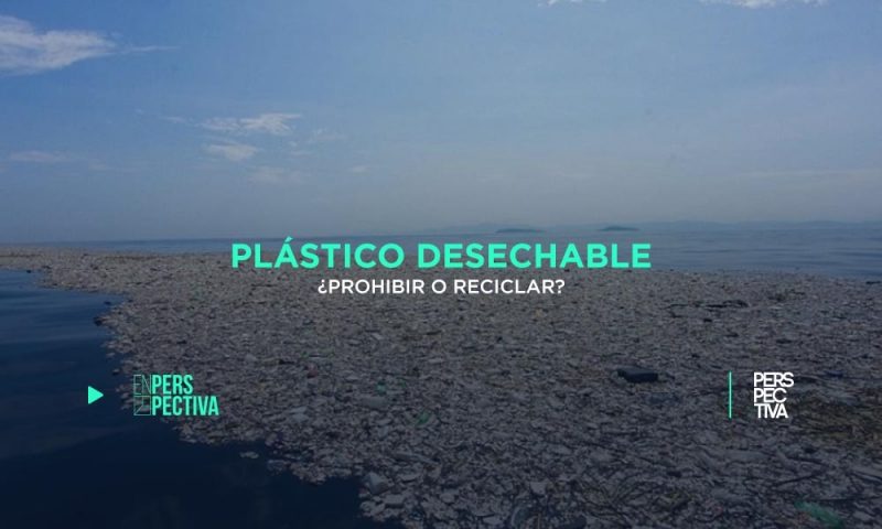 Plástico desechable ¿prohibir o reciclar?