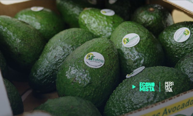 Brexit: Sube la tensión a productores de arveja china, ejote, moras, limón y otros del altiplano