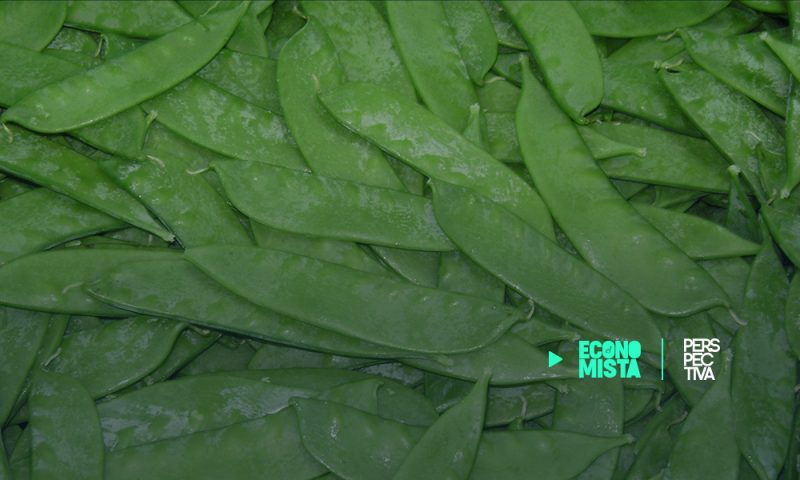 Exportadores celebran la buena noticia para el país: Guatemala formaliza su relación comercial con el Reino Unido