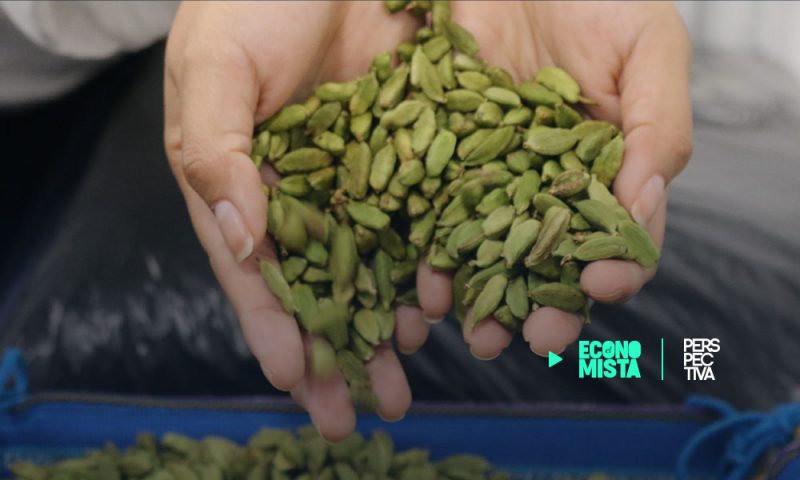 Cardamomo,  manufacturas de papel y textiles  productos de mayor crecimiento en las exportaciones guatemaltecas 2019
