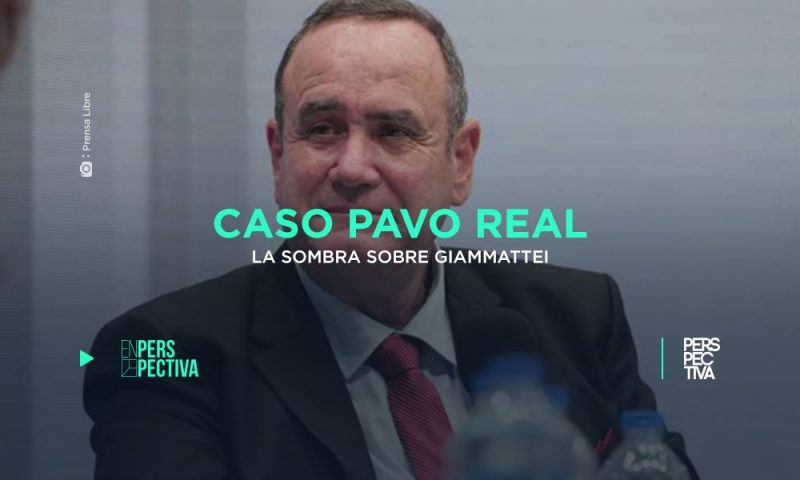Caso Pavo Real, la sombra sobre Giammattei