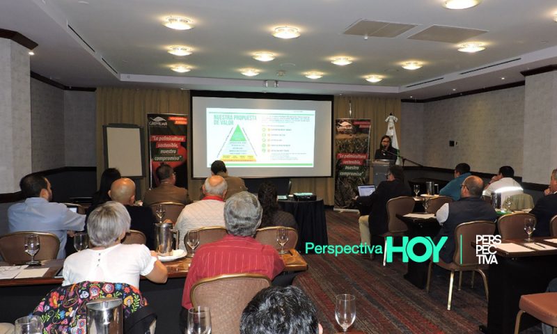 Palmicultores de Guatemala comprometidos con la Cero Deforestación