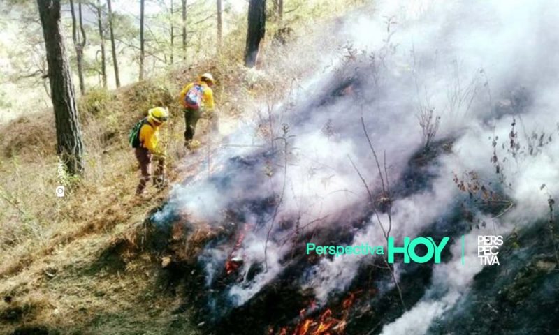 Incendios forestales dañan 759,9 hectáreas en Guatemala