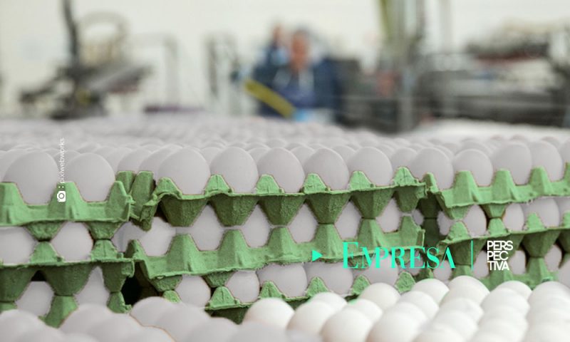 La Asociación de Productores de Huevo comunican a la población