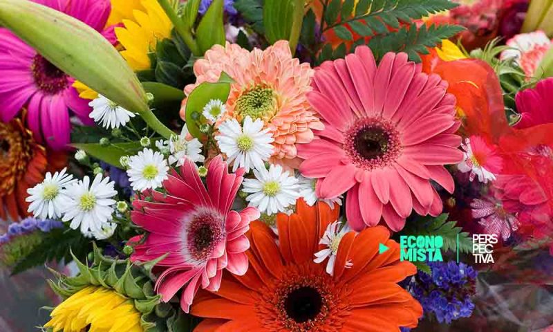 Floricultores guatemaltecos comparten color y belleza para darle esperanza a Guatemala
