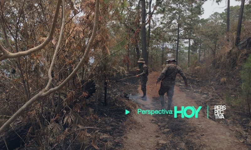 Guatemala combate incendios forestales