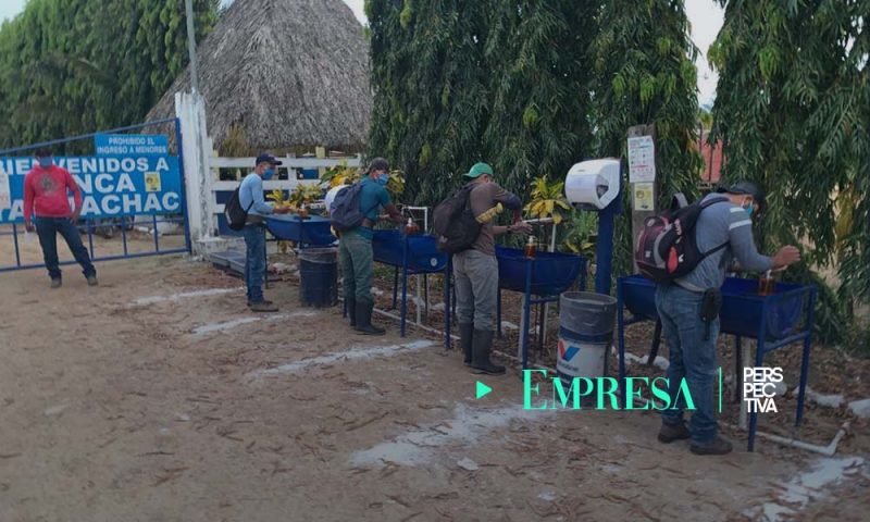 GREPALMA presentó protocolo de prevención del COVID-19