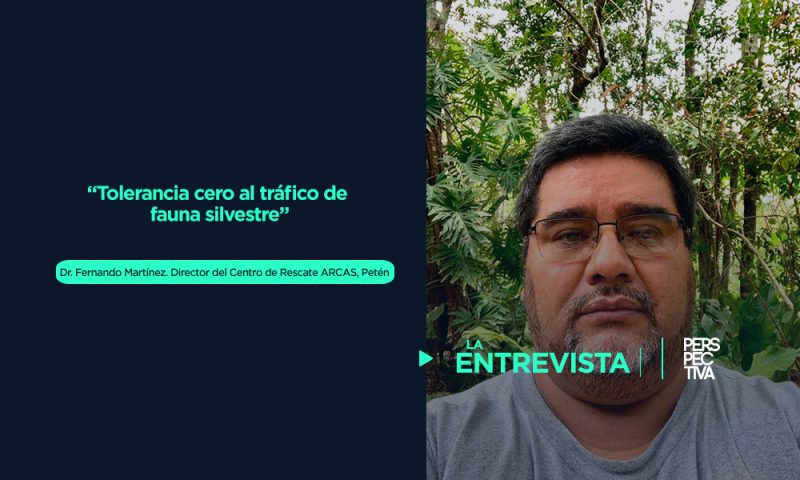 Tolerancia cero al tráfico de fauna silvestre