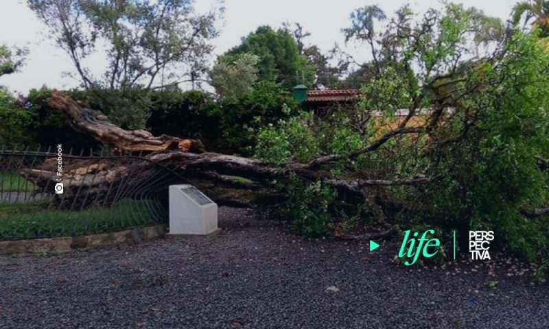 Se derrumba símbolo tricentenario