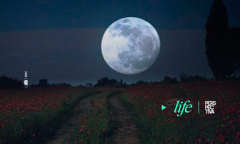 Hoy ultima oportunidad para ver la Superluna del 2020