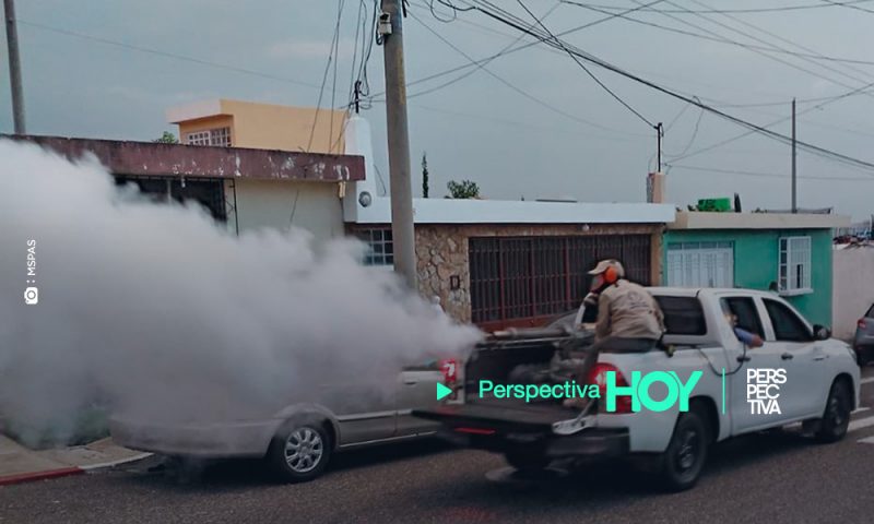 Arbovirus: otro riesgo epidemiológico