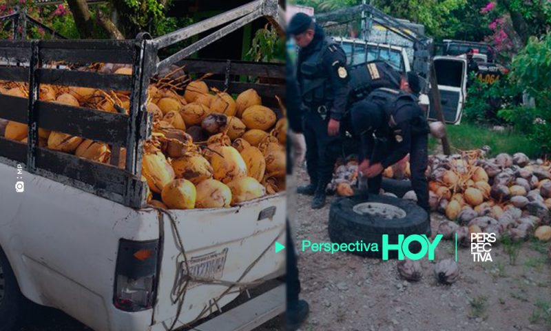 Decomisan cargamento de drogas en Petén