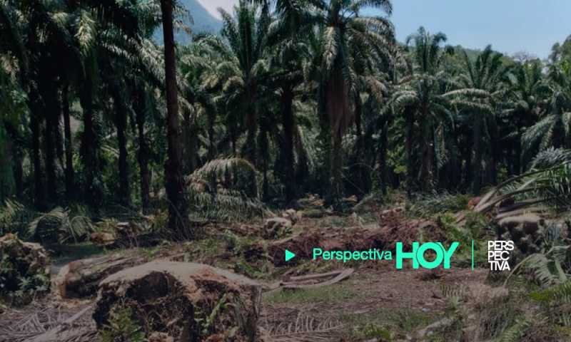 Invasiones amenazan miles de empleos en el Polochic