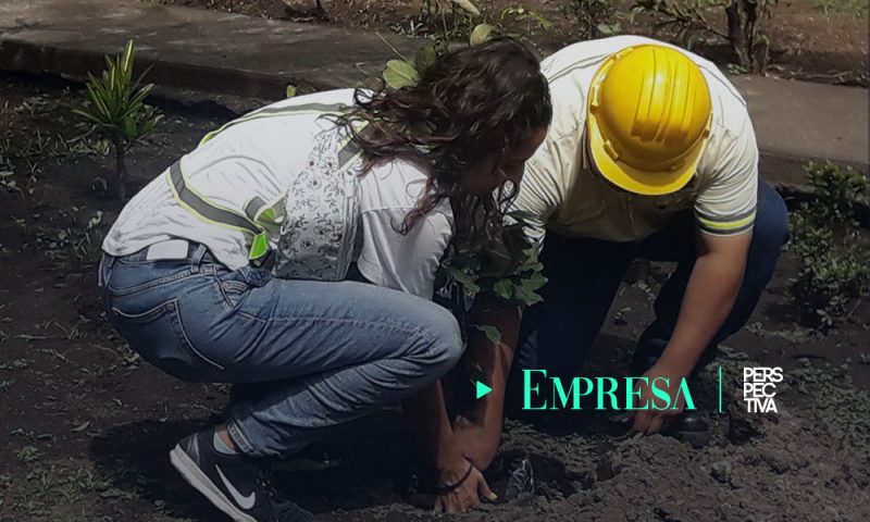 GREPALMA celebra el Día Mundial del Medio Ambiente