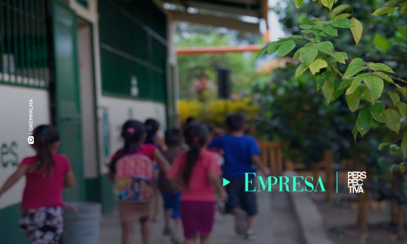 GREPALMA: cero tolerancia al trabajo infantil