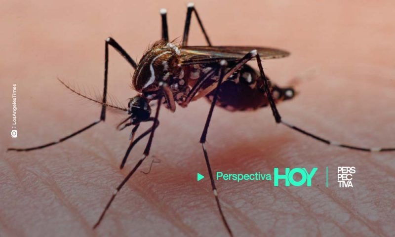 Cifras de dengue, sin precedentes en Argentina