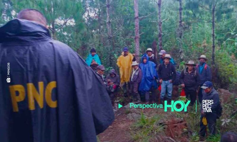 Denuncian talan ilegal en área montañosa del Quiché