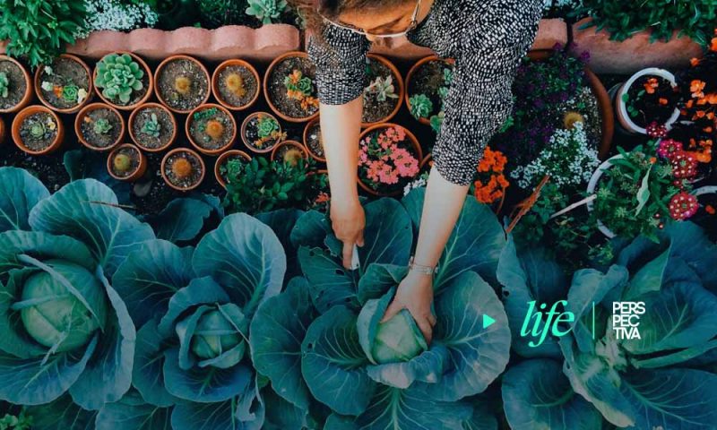 La nutrición, vital para recuperarse del coronavirus