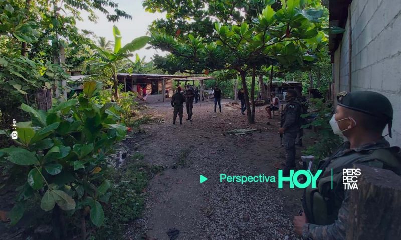 Fuerzas de seguridad localizan plantaciones de coca en Livingston