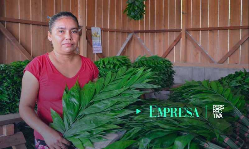 Comunidades se preparan para exportar productos