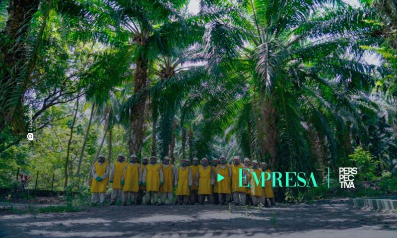 Agroindustria debe intensificar manejo integrado de plagas