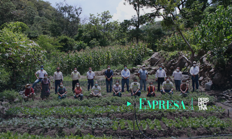 Seguridad alimentaria y reforestación, apoyadas por Cementos Progreso