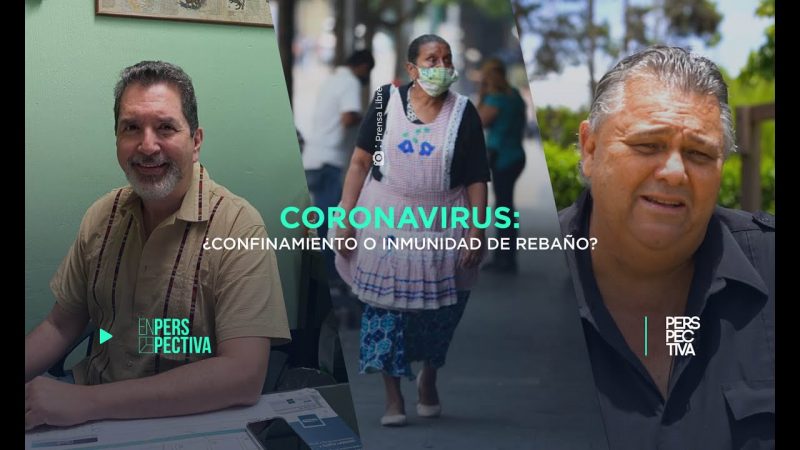 Coronavirus: ¿confinamiento o inmunidad de rebaño?