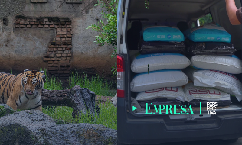 Molino Santa Ana y sus marcas donan alimentos a Zoológico La Aurora