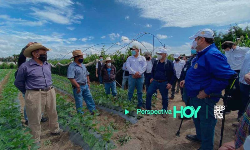 MAGA y MIDES han ejecutado 3% en asistencia alimentaria