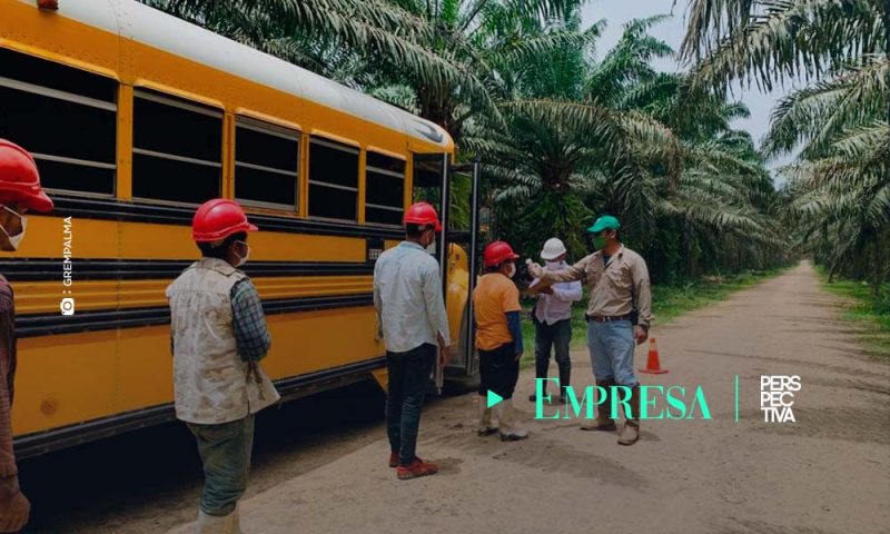 Palmeros latinoamericanos plantean estrategias frente a pandemia