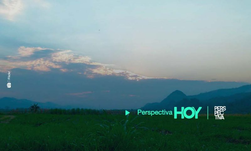 Valle del Polochic: abandono, conflictividad y narcotráfico