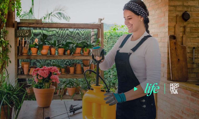 Cómo desinfectar espacios para prevenir el COVID-19