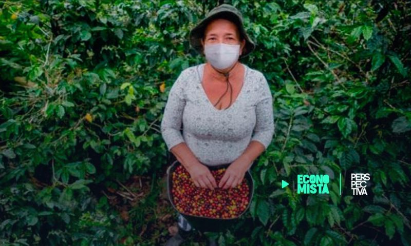 Sondeo regional detecta carencias en agricultura familiar