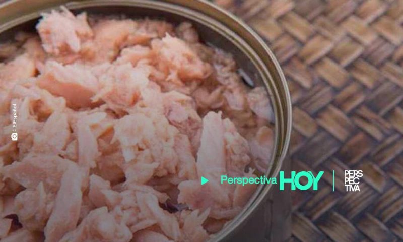 Encuentran carne de delfín en latas de atún en México