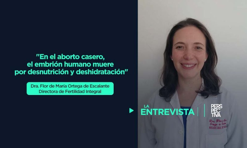 “En el aborto casero, el embrión humano muere por desnutrición y deshidratación”