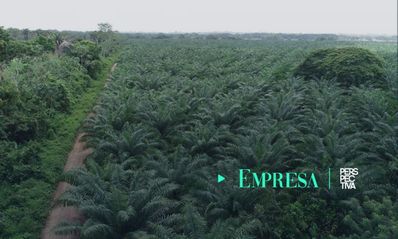 GREPALMA reafirma su compromiso contra la deforestación